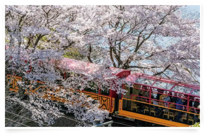 春の陽気で<br/>心地よい列車旅