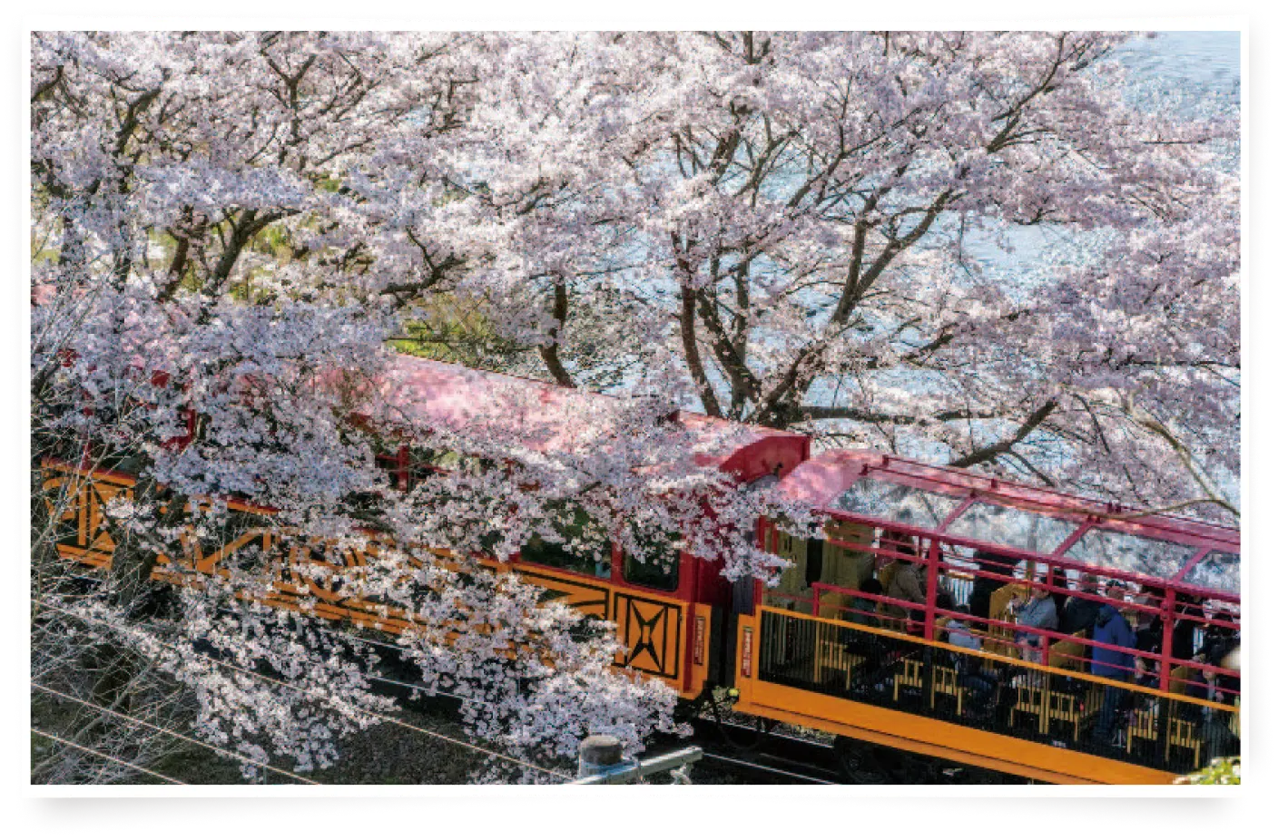 春の陽気で<br/>心地よい列車旅