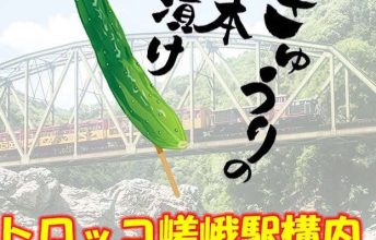 【お知らせ】7月の催事開催について(嵯峨野トロッコ×京つけもの もり)