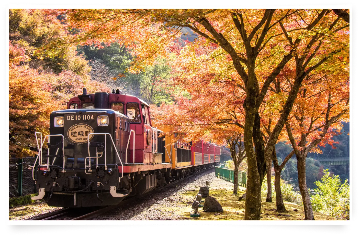  Autumn leaf tunnel viewing